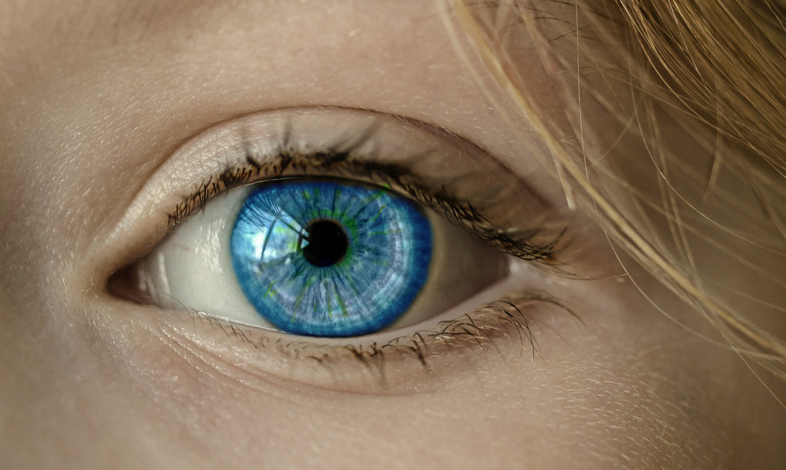Ophtalmologie Senior : Prendre Soin de Ses Yeux Après 50 Ans