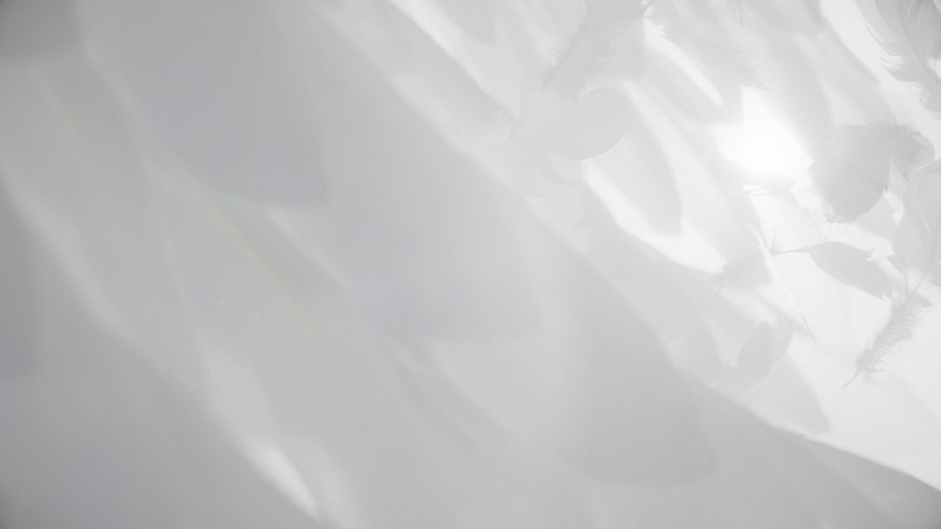 Scanner Intro oral - Aoralscan Elite -Shining 3D