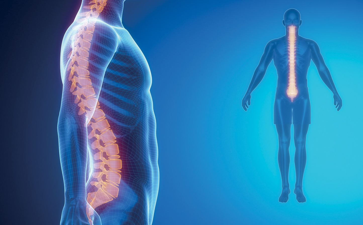 Tecnodent Linda Next SUR